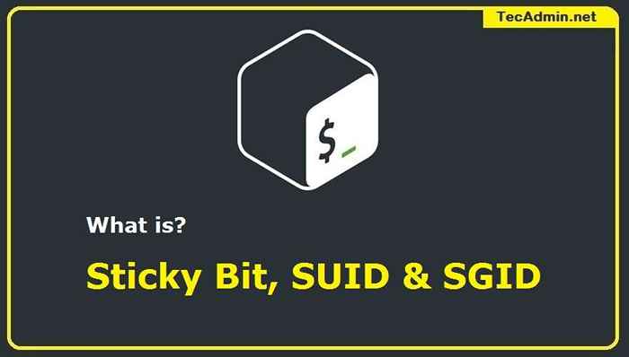 ¿Qué es Sticky Bit, Suid y Sgid en Linux?