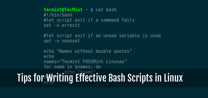 10 Petua Berguna untuk Menulis Skrip Bash Berkesan di Linux