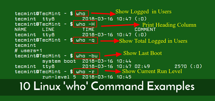 10 Ejemplos de comando 'quién' para los novatos de Linux