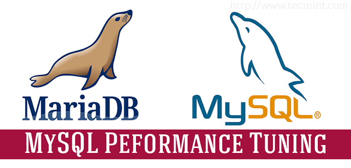 15 Nützliche MySQL/Mariadb -Leistungsstimm- und Optimierungs -Tipps