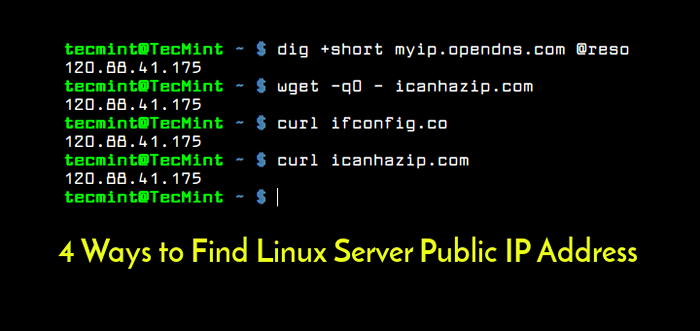 4 maneiras de encontrar o endereço IP público do servidor no terminal Linux