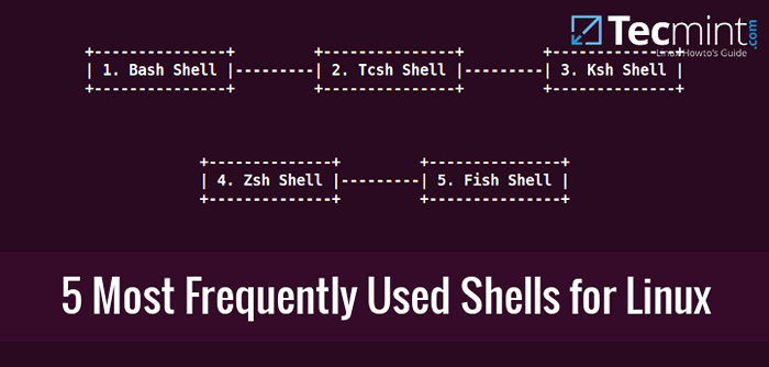 5 Shels open source les plus fréquemment utilisés pour Linux