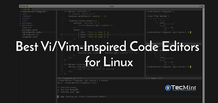 6 melhores editores de código inspirados em VI/Vim para Linux