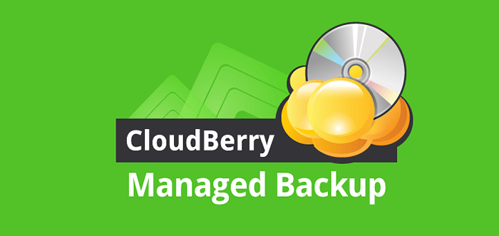 Cloudberry -Sicherung für Linux -Überprüfung und -installation