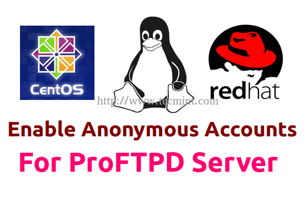 Habilitar una cuenta anónima para el servidor ProfTPD en Rhel/Centos 7
