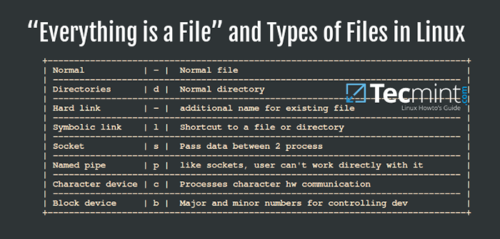Explicación de Todo es un archivo y tipos de archivos en Linux