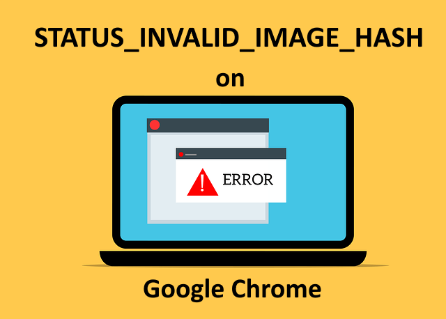 SEX STATE_INVALID_IMAGE_HASH Error en Google Chrome en Windows 11/10