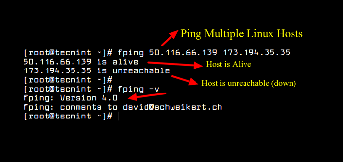 Fping - alat ping berkinerja tinggi untuk Linux