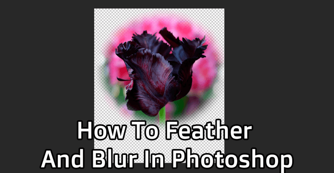 Comment plumer et flou dans Photoshop