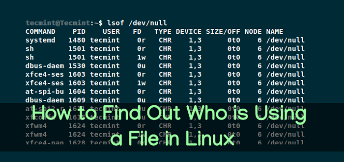 Cara mengetahui siapa yang menggunakan fail di Linux