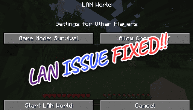 So beheben Sie Minecraft Lan, die in Windows 11 oder 10 kein Problem angezeigt haben