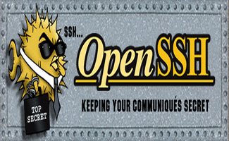 Como instalar e configurar o servidor OpenSsh no Linux
