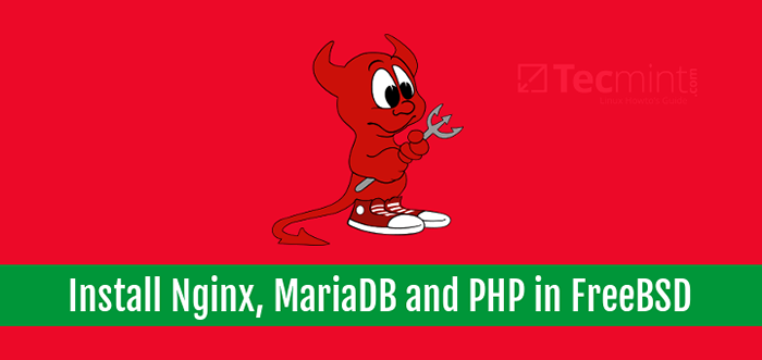 Cara menginstal nginx, mariadb dan php (femp) menumpuk pada freebsd