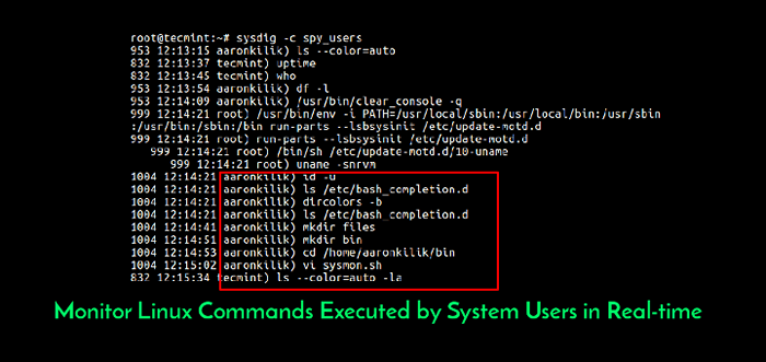 So überwachen Sie Linux-Befehle, die von Systembenutzern in Echtzeit ausgeführt werden