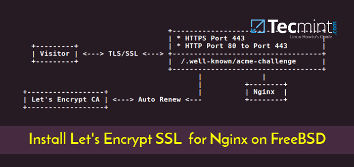 Como proteger o nginx com SSL e vamos criptografar em FreeBSD