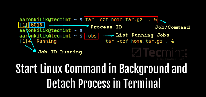 Cómo iniciar el comando Linux en el fondo y separar el proceso en la terminal