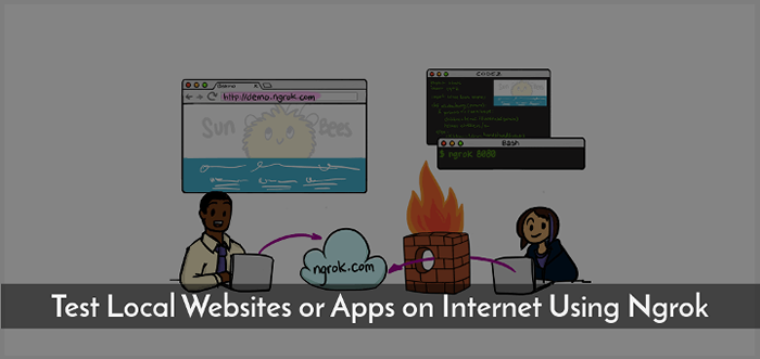 Cara menguji situs web atau aplikasi lokal di internet menggunakan Ngrok