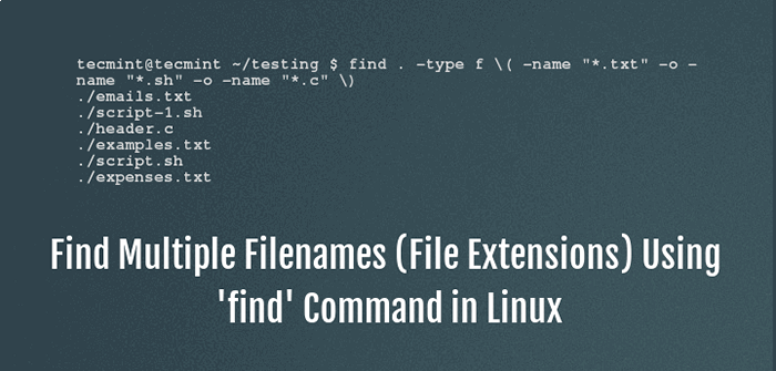Como usar o comando 'find' para pesquisar vários nomes de arquivos (extensões) no Linux
