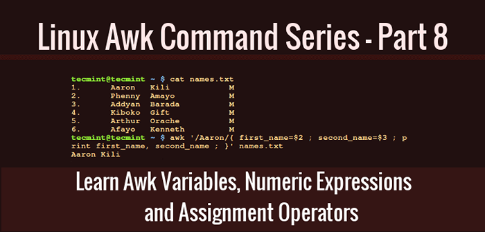 Erfahren Sie, wie Sie awk -Variablen, numerische Ausdrücke und Zuweisungsoperatoren verwenden - Teil 8
