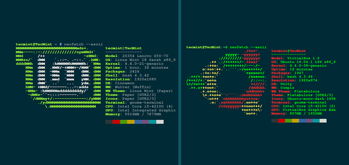 Neofetch - pokazuje informacje systemowe Linux z logo dystrybucji