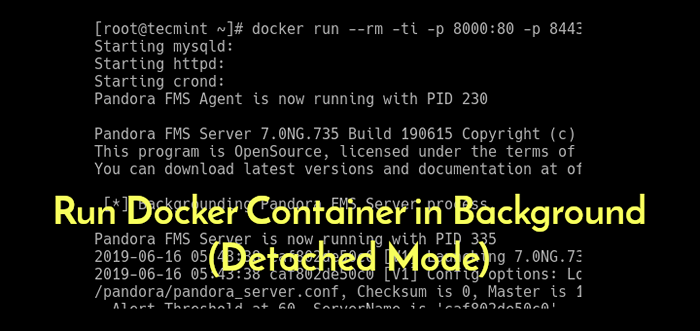 Ejecute el contenedor Docker en el fondo (modo separado)