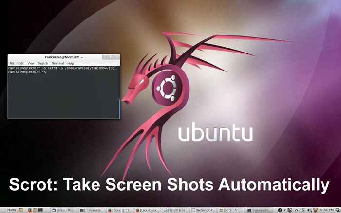 SCROT Una herramienta de línea de comando para tomar capturas de pantalla de escritorio/servidor automáticamente en Linux
