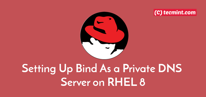 Einrichten von Bind als privater DNS -Server auf RHEL 8 einrichten