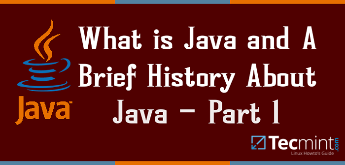 Que es Java? Una breve historia sobre Java