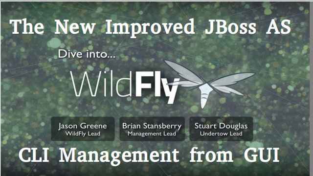 Wildfly (JBoss AS) - So greifen Sie mit GUI auf CLI auf und verwalten Sie sie