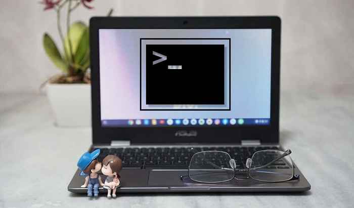So öffnen Sie das Linux -Terminal auf Chromebook