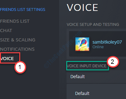 Steam Voice Chat funktioniert nicht in Windows 10/11 PC Fix