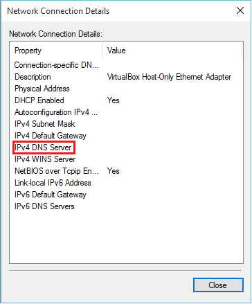 Formas simples de ver la dirección DNS en Windows 10/11